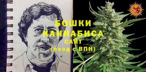 ПСИЛОЦИБИНОВЫЕ ГРИБЫ Балахна