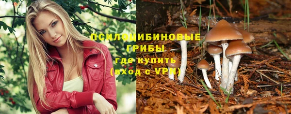 ПСИЛОЦИБИНОВЫЕ ГРИБЫ Балахна